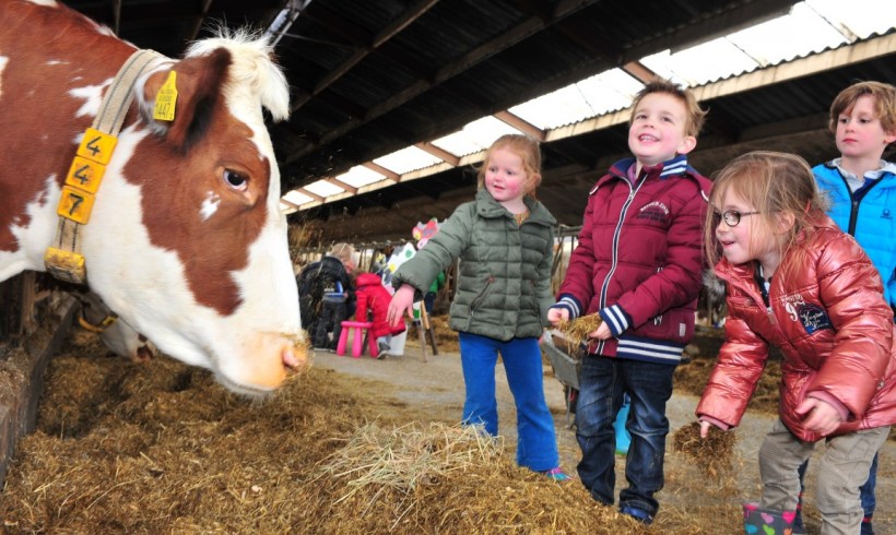 Biologische boerderij De Hofstad (Breugel)