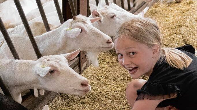 Boerderijles – Waar komt ons voedsel vandaan?