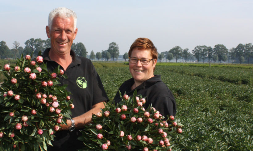 Bloemkwekerij van den Broek (Gemert)